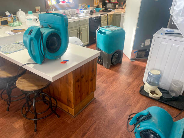 Best Ceiling water damage repair  in Brewster, WA